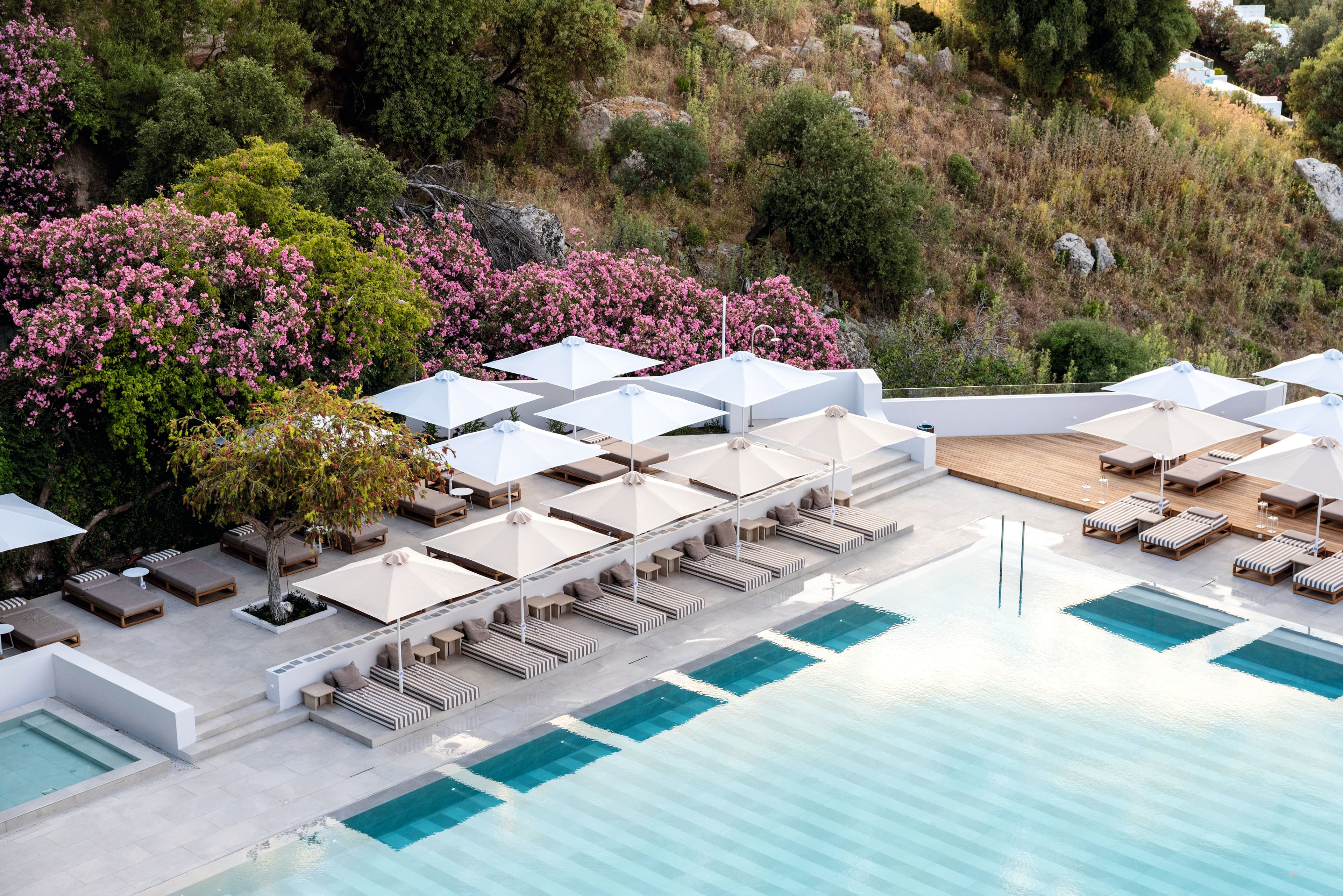 Pool & Lounging  image